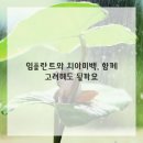 자연미소치과 이미지