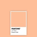 현진바이오 이미지