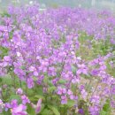 해안서로 이미지