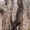 산수화농장 이미지