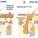 자연앤동물병원 이미지