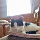 브이농장 이미지