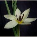 송정하우스 이미지