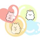 아이굿안경 네이버블로그