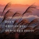 🌑.아리랑호가 찍은 백두산💖 이미지