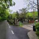 모야의숲 캠핑장 이미지