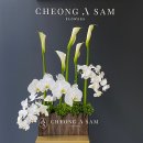 청아샘플라워즈 이미지
