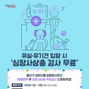 용산구 이상윤동물병원 서울신문
