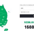 쭈꾸 이미지