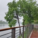 김시민대교 둔치 이미지