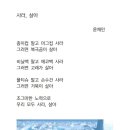 사라나지구