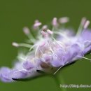 행복사진관 이미지