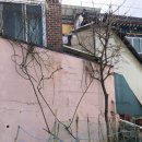 병영초등학교병설유치원 이미지