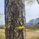 마곡코엔이비인후과의원 이미지