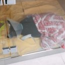 스카이동물병원 이미지