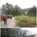 성진주유소 이미지