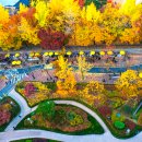 청파로(서측) 이미지