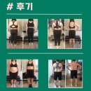 팀엑스짐 이미지