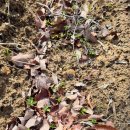 협심농장 이미지