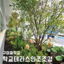 나무와중학교 | 학교인조조경 고품질 조화나무로 테라스 정원설치! 구미중학교 그린테리어
