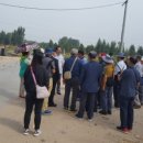 시조본가 이미지