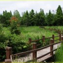 물향기공원 이미지