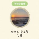 탄도항 누에섬 펜션 | 노을 명소 안산 대부도 탄도항 누에섬 등대전망대 일몰, 물때시간