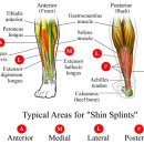 마라톤정형외과병원 이미지