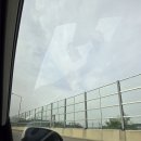 한빛여행사주 | 2025.06.06.-2025.06.07 목적(성심당)이 있는 여행 in 세종 그리고 대전