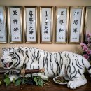 아4리_마을회관 | 내 고민.. 결국 찐 전문가, 제천점집 행운암 뿌수고 왔어요!