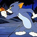 톰과제리 이미지