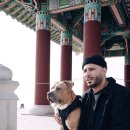 음양오행 성명학 이미지