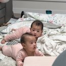 씨유 구운드림점 | 230-310일까지 쌍둥이 육아일기