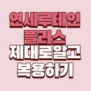 📘 요즘 눈, 왜 이렇게 피곤할까요? - 연세루테인플러스 솔직후기