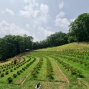 지수목장 이미지