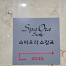 에스알솔루션 | [세종 나성동] 스파오라스칼프 :: 1:1 맞춤 피부관리 찐 후기