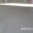 여주-0313 이미지