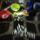 바다와 하루이틀 이미지