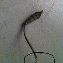 HM 카닥터 이미지