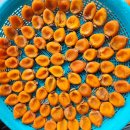 농협하나로마트화장실 이미지