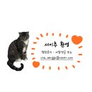 오사카② / USJ 유니버셜스튜디오재팬 / 큐재팬 / 닌텐도월드 / 해리포터 / 할로윈 호러나이트 / 좀비