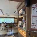 초록커피 | [창원맛집]otc coffee 창원 OTC커피 후기｜초록 뷰에 분위기까지 완벽했던 가로수길 카페