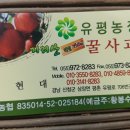 유평농장 이미지