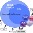 날으는고양이 이미지