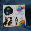 도그팡팡 이미지