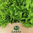 홍집농장 이미지