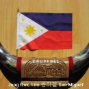 필리핀 상징물 - Symbols of the Philippines (1) 이미지