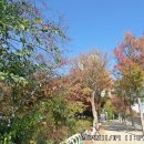 석계역길 이미지