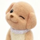 워너짐 반여 | 안녕하세요 반여동 헬스장 인포입니다