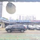에이스 자동차 종합 이미지